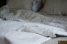 Купить Комплект постельного белья "White-Gray Washed linen" (лен) 141668