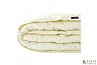 Купить Одеяло зимнее Comfort Standart 209699
