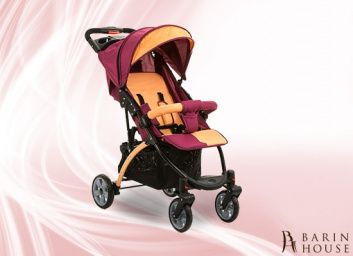 Купить Коляска прогулочная Tetra 136007