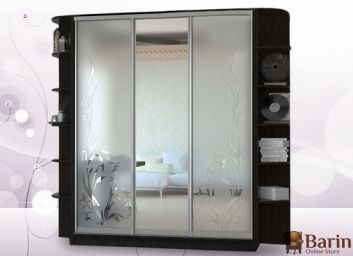 Купить Трехдверный шкаф-купе Флеш 106760