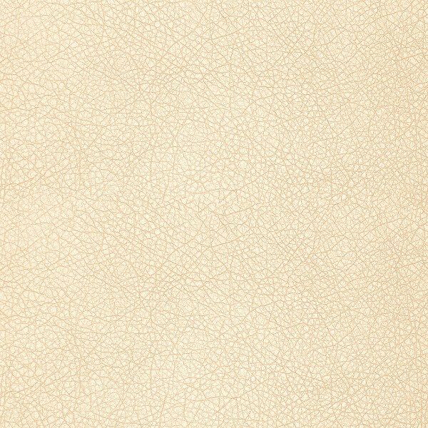 Купить Vegas 123038 