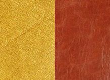 купити Buttero 108773