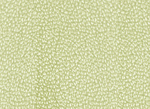 купити Корсика 109246