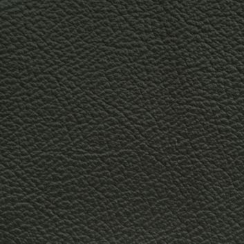 купити Madras 183779