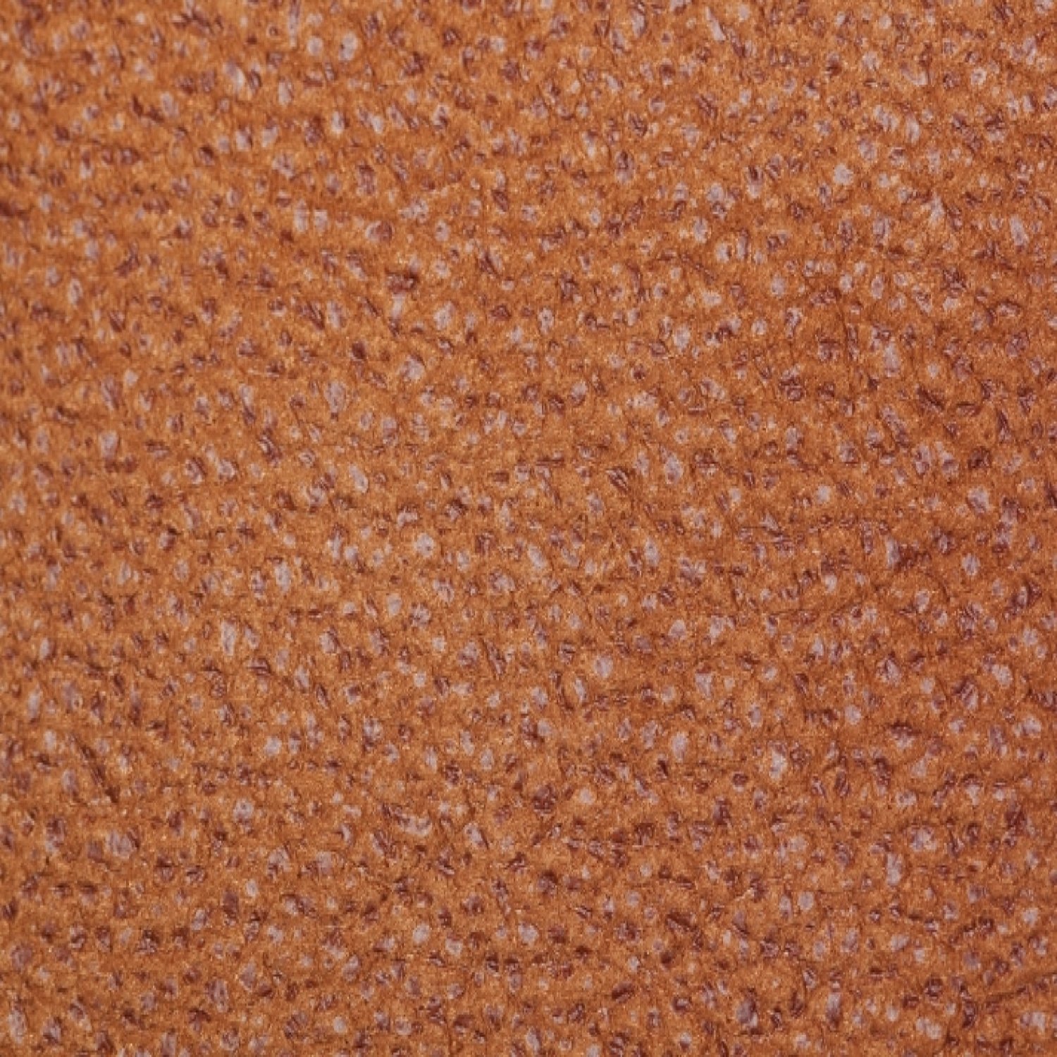 Купить Bizon 252226 photo 7