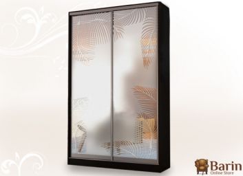 Купить Двухдверный шкаф-купе Флеш 106745