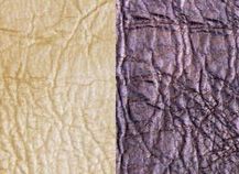 Купить Tierra 109552