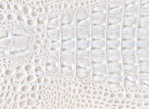 купити Truva 109025