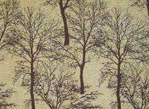 купити Шанель 109702