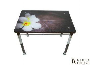 Купить Кухонный стол Камилла премьер 11 215410