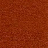 Купить Zeus 168537