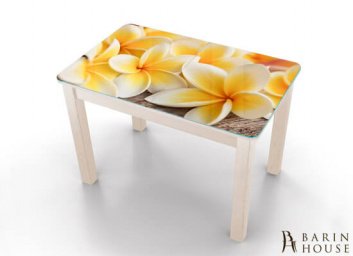 Купить Кухонный стол Boston A van/06 228320