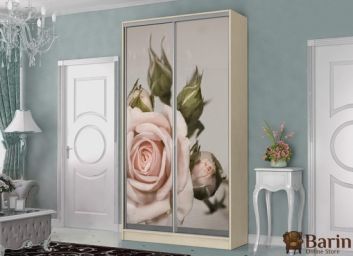 Купить Двухдверный шкаф-купе Флеш 106737