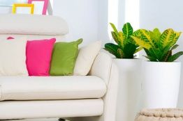 Правила ухода за мягкой мебелью