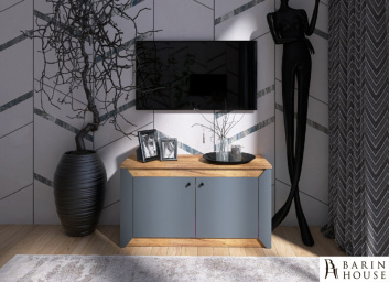 Купить Тумба Нордик 2-х дверная 980 (дуб крафт/золотой, графит) 318036