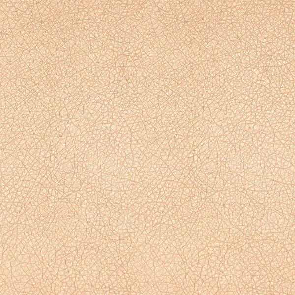 Купить Vegas 123038 photo 9