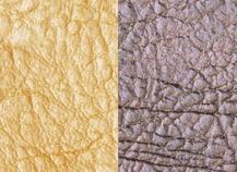 купити Clara 109625