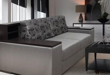 Купить Диван-кровать Lord 115386