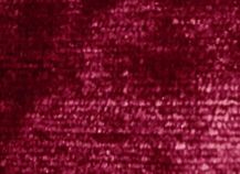 купити Розалінда 109859