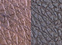 Купить Rolex 109388