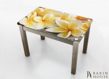 Купить Кухонный стол Boston secvoya/3/s 227232