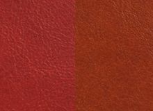 купити Chelsea 108876