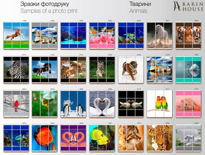 Купить Шкаф-купе трехдверный 151979 photo 34