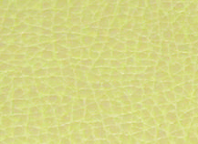 Купить Аполлон 109235