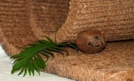 Кокосова койра