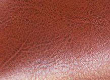 Купить Elite 109370