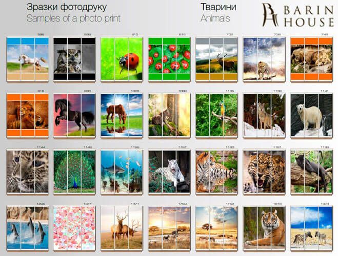 Купить Шкаф-купе трехдверный 151979 photo 35