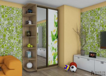 Купить Шкаф-купе двухдверный 151856