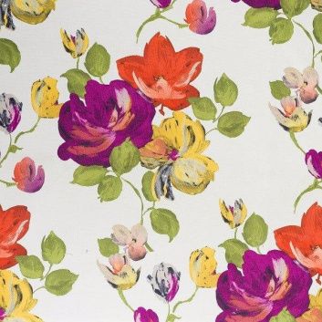 Купить Begonia 149092