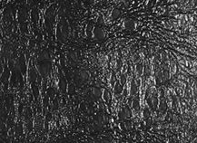 Купить сафарі 109401