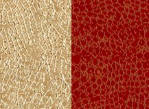 купити Infinity 109279