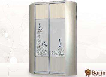 Купить Угловой шкаф-купе Флеш 110223