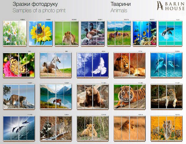 Купить Шкаф-купе трехдверный 151979 photo 37