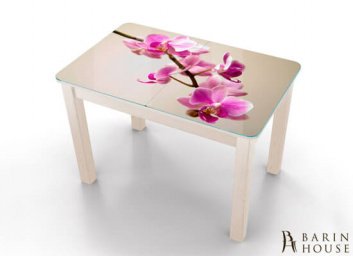 Купить Кухонный стол Boston A van/09 228326