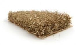 Морська трава