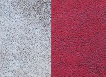 купити Arizona 106927