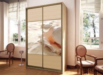 Купить Двухдверный шкаф-купе Флеш 106725