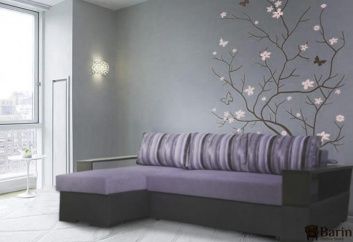 Купить Диван угловой Polo 115423