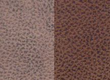 Купить Nevada 107078