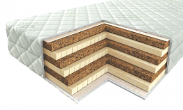 Кокосова койра - користь і безпечний комфорт від самої природи