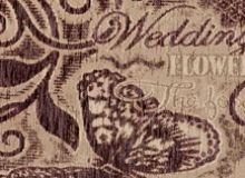 купити Fly 109819