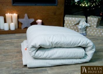 купити Ковдра зимовий Winter sleep (полуторное) 141130