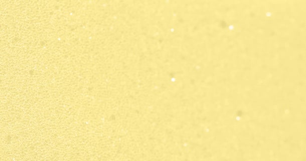 ortopedichna-pina-ergoflexi.jpg