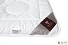 Купить Одеяло зимнее Air Dream Exclusive 209765