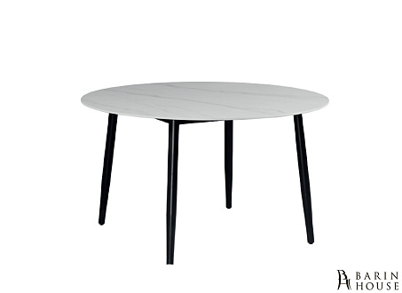 Купити                                            Стіл нерозкладний NDT2500-D120W 335184